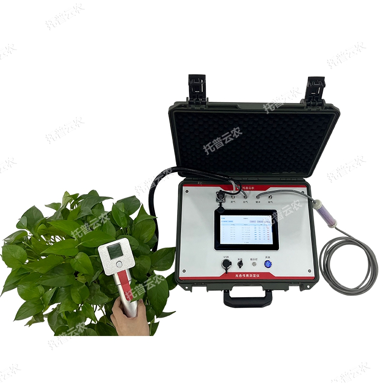 光合作用對植物生長有什么影響？