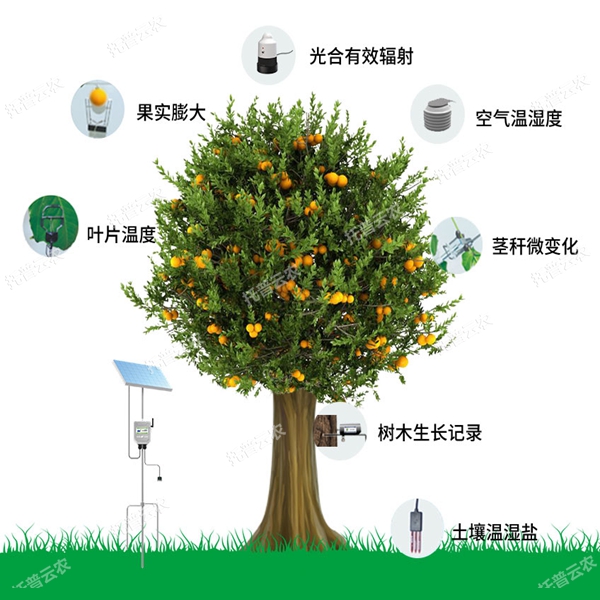 植物生理生態(tài)監(jiān)測系統(tǒng)有哪些功能優(yōu)勢？