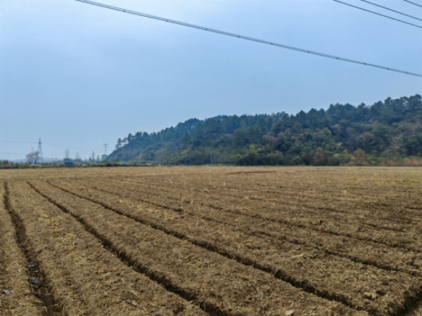 安徽涇縣: 推進(jìn)高標(biāo)準(zhǔn)農(nóng)田建設(shè) 為推動實(shí)現(xiàn)鄉(xiāng)村振興注入生機(jī)與活力