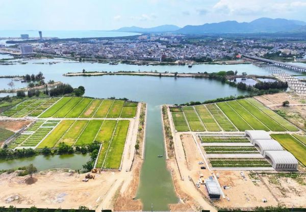 為鹽堿地安上“技術芯片”，托普云農(nóng)打造耐鹽堿水稻科研試驗基地建設解決方案